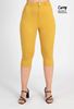 Picture of PLUS SIZE HIGHLY STRETCH CAPRI
